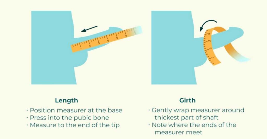 How to measure Pennis Size