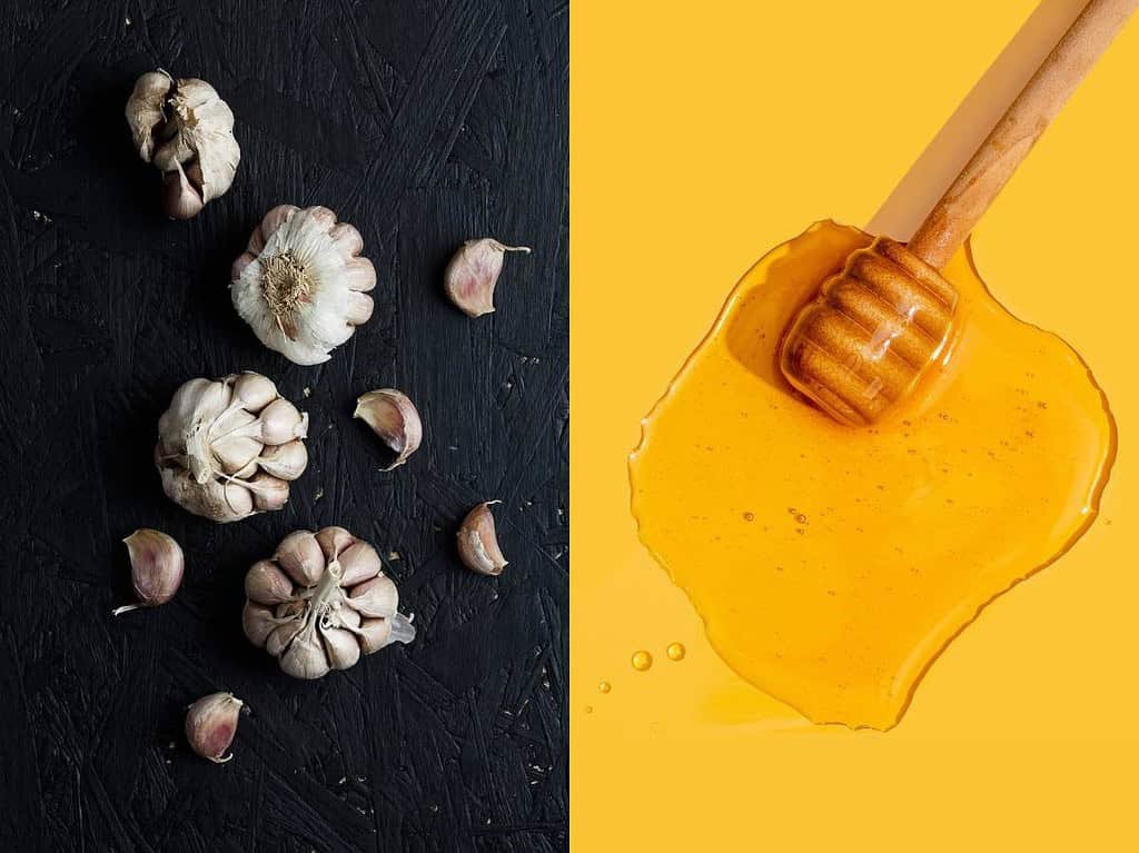 honey and garlic benefits