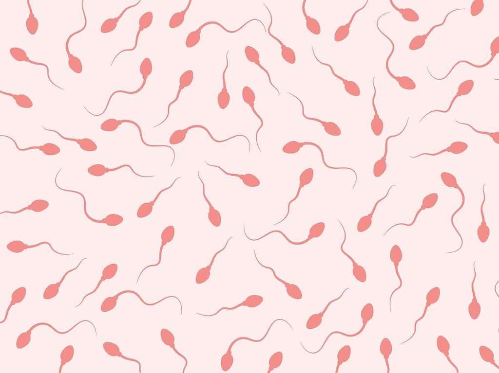 Masturbation not Reduces Sperm Count