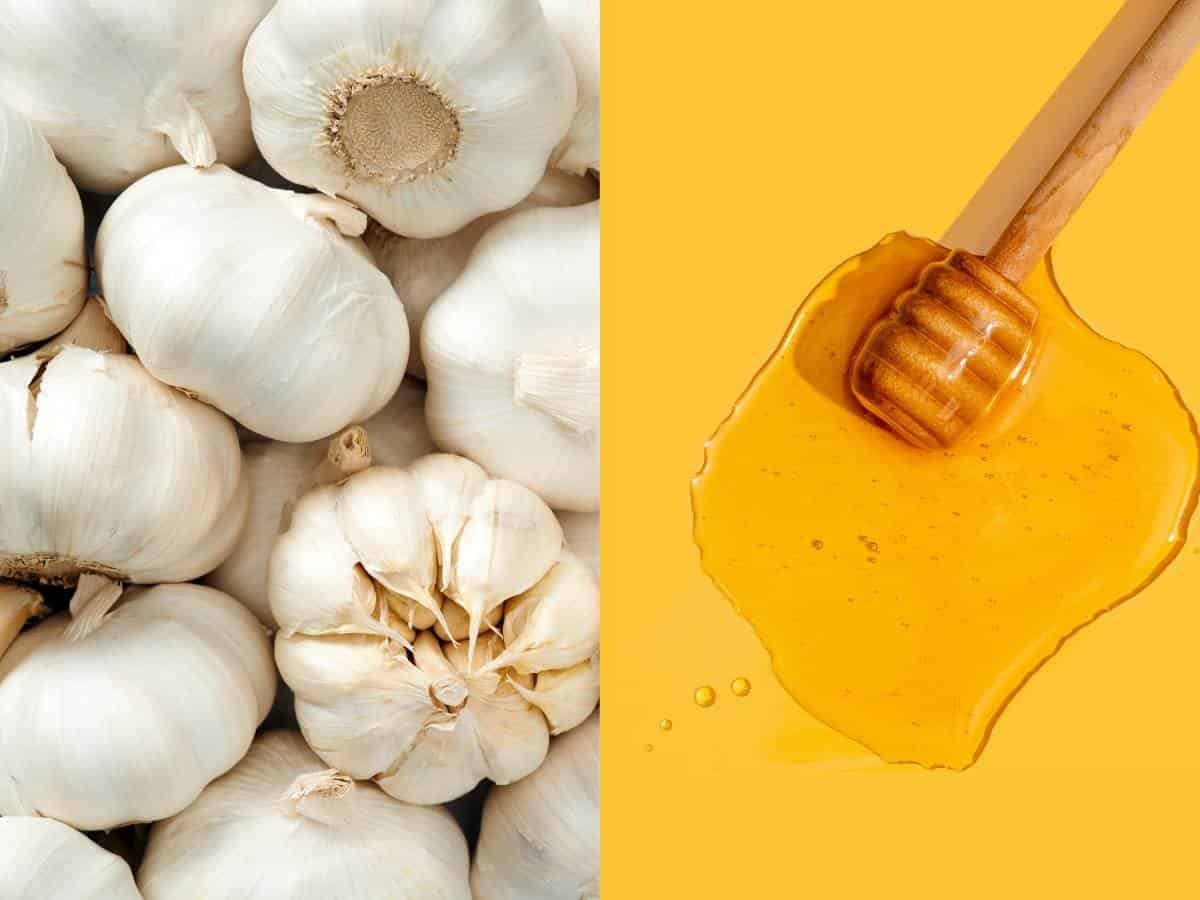 Honey and Garlic Benefits